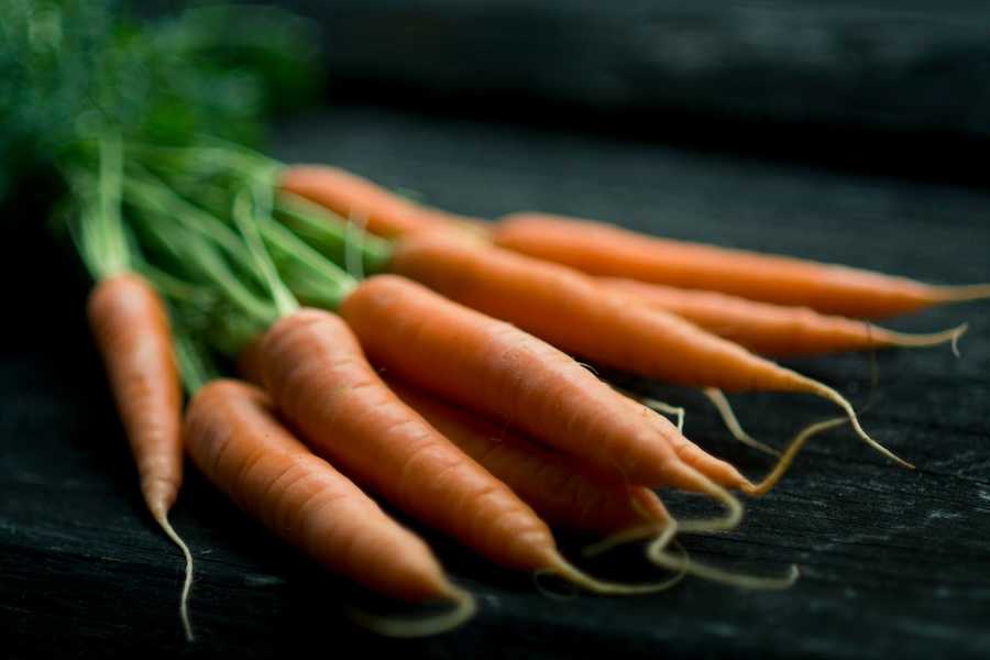como plantar zanahorias paso a paso