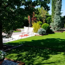 Jardín con árboles y arbustos bien cuidados