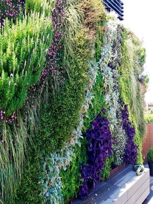 jardin-vertical-en-Madrid-centro